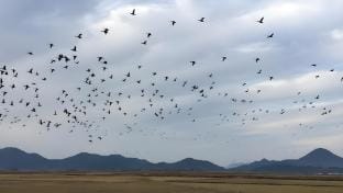 Suncheon Bay Pension Bed and Breakfast in South Korea