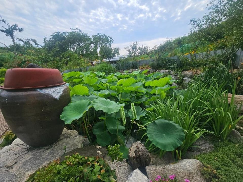 Gangeung Dowon Pension Bed and Breakfast in South Korea