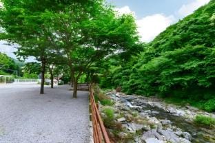 Wangsonamu House Pension Bed and Breakfast in Gyeonggi-do