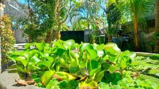 Seminyak Houses Vacation rental in North Kuta