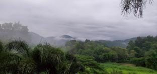 วาคุมิคาเฟ่&โฮมสเตย์ WakumiCafe&Homestay Vacation rental in Thailand