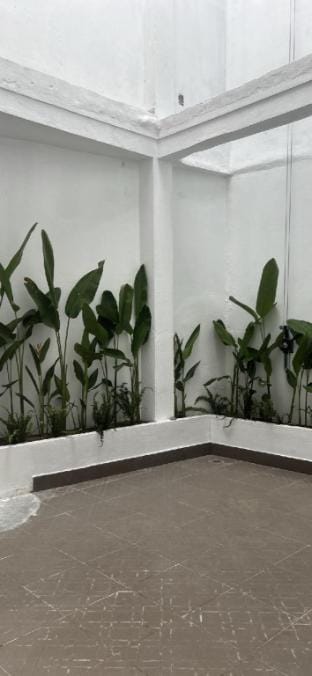 Nhà nguyên căn gần biển,gần cầu rồng  Apartment in Da Nang