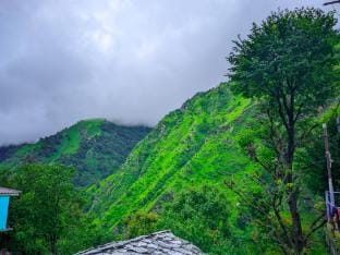 Viraaj Homestay  Vacation rental in Uttarakhand