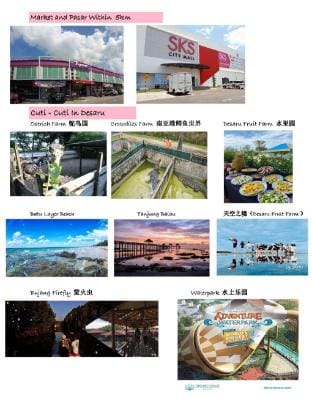 [每客消毒P]Desaru Pink Pool KTV BBQ Snooker •网红度假屋 Villa in Johor