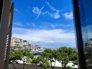 Monaco stunning port location - Grand Prix / F1 Vacation rental in Monaco