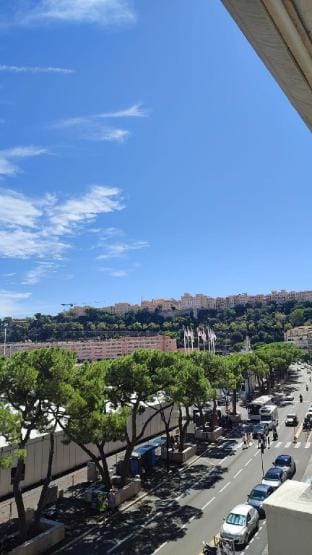 Monaco stunning port location - Grand Prix / F1 Vacation rental in Monaco