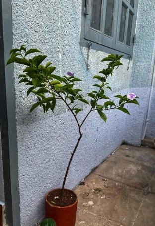 XiaoHaus - Homestay SaiGon Vacation rental in Ho Chi Minh City