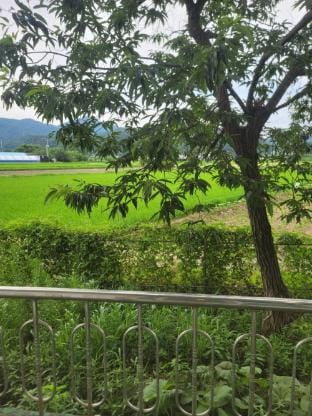 Jeryeong Forest Pension Bed and Breakfast in Gyeonggi-do