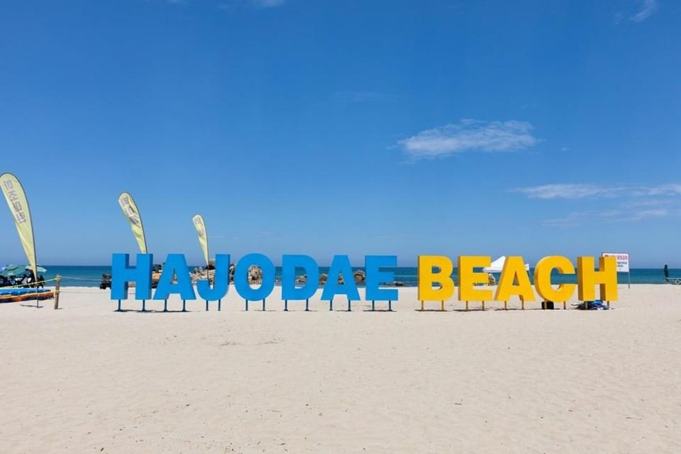 Olive Beach Pension Bed and Breakfast in South Korea