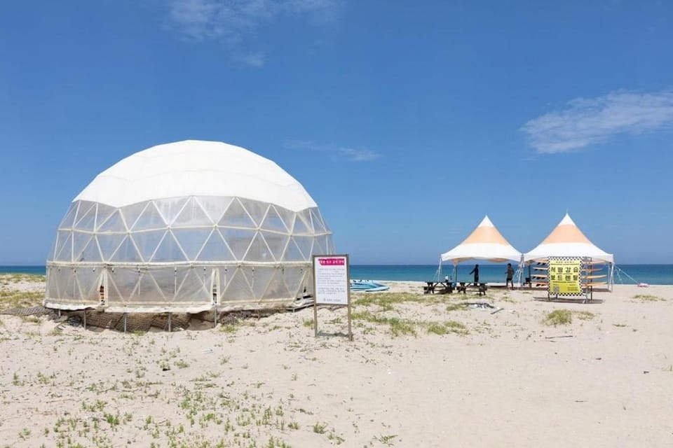 Olive Beach Pension Bed and Breakfast in South Korea