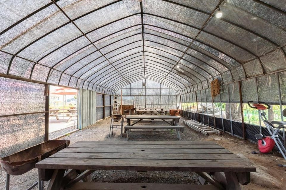 Olive Beach Pension Bed and Breakfast in South Korea