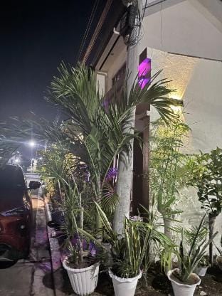 Chic &Cozy 3Bedroom House Vacation rental in Lapu-Lapu City
