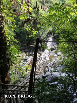 Nilambu Homestay Vacation rental in Kerala