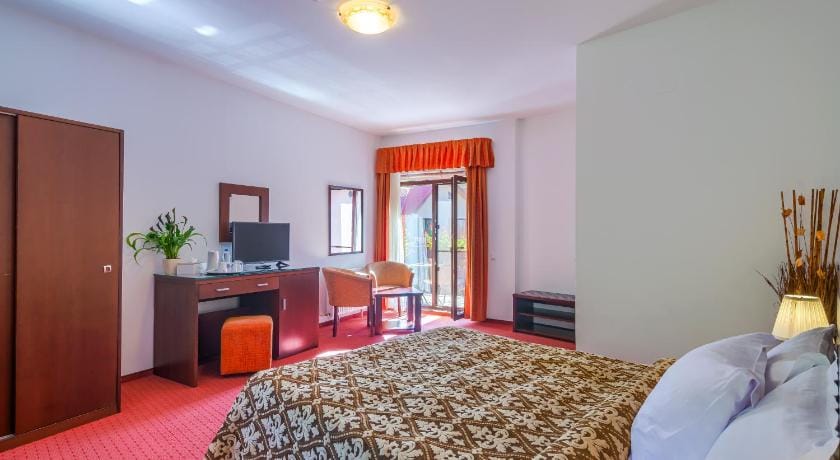 Pension Pantheon Hotel in Brasov