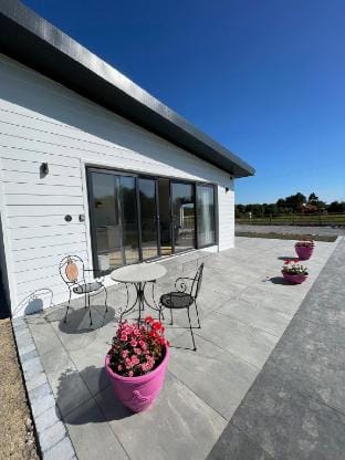 Kildare Holiday Apartments No 1 Vacation rental in Ireland