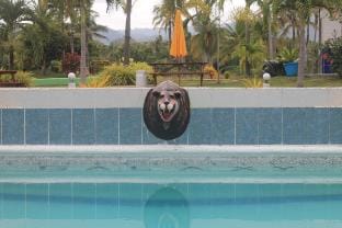 Galaxy Get-Away Exclusive Resort- 20 person Vacation rental in Central Visayas