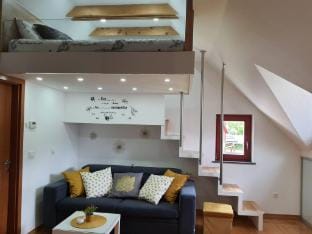Juliana Apartment- AC bikes SUP  Bled Bohinj Apartment in Slovenia