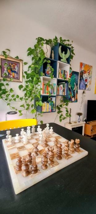 ArtApartment near Stephansplatz Stylish 2 BR AC Vacation rental in Vienna