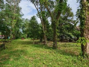 GreenAcres Cottage Vacation rental in Malaysia