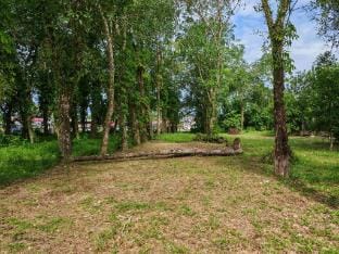 GreenAcres Cottage Vacation rental in Malaysia