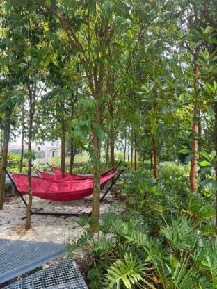 Skyline Luge Gamuda Garden Rawang Homestay Apartment in Selangor, Malaysia