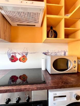 Beachfront & Sea View Sleeps 6 Vacation rental in De Panne