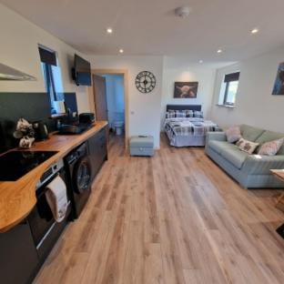 Temuka Lodge Apartment in Scotland