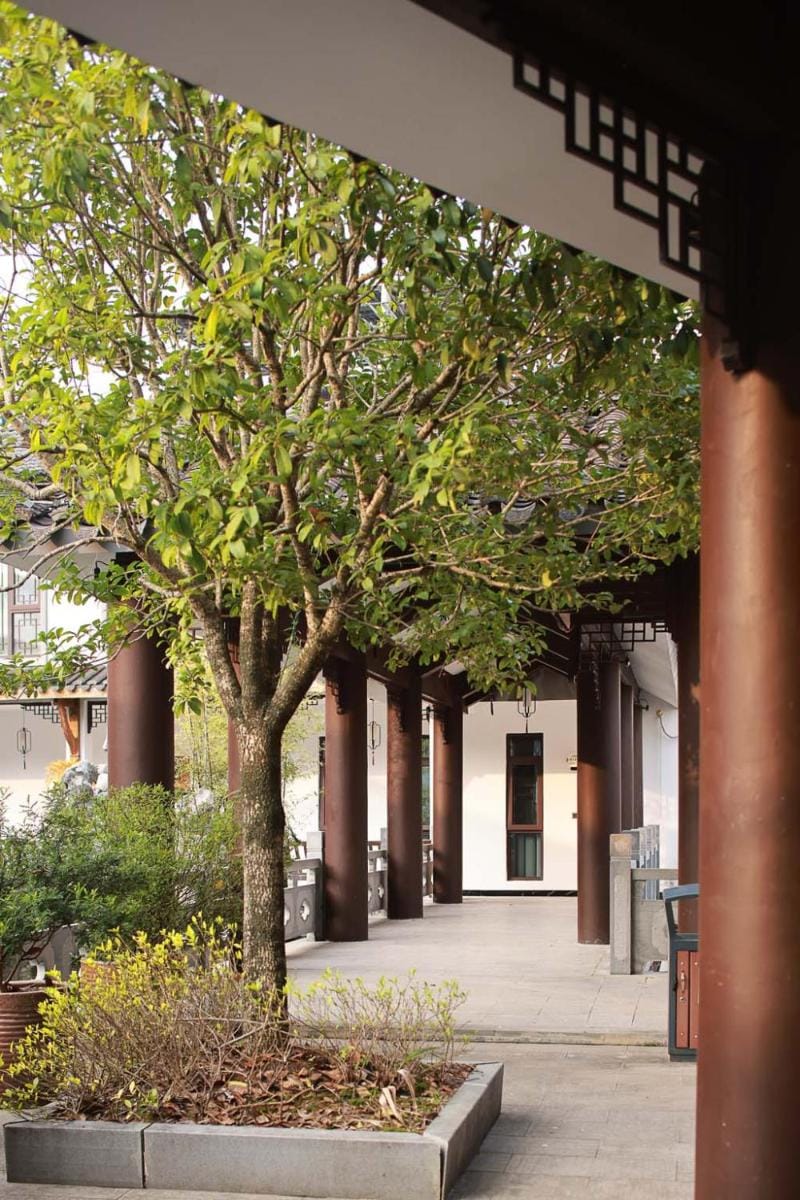 Jinyun Maixiang Hidden Villa (Jinyun Shuangmian Museum Store) Hotel in Zhejiang