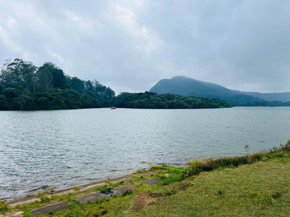 White Forest Resort Hotel in Nuwara Eliya