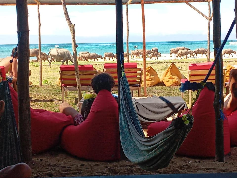 My Beach House - Lombok - Kuta - Areguling beach Bed and Breakfast in Pujut