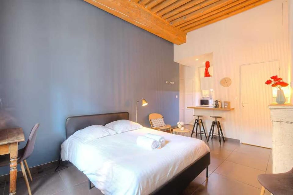 Charming studio -2P- Ainay Apartment in Lyon