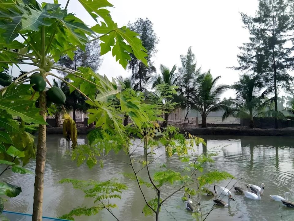 Sundarban Gateway Resort West Bengal Hotel in West Bengal
