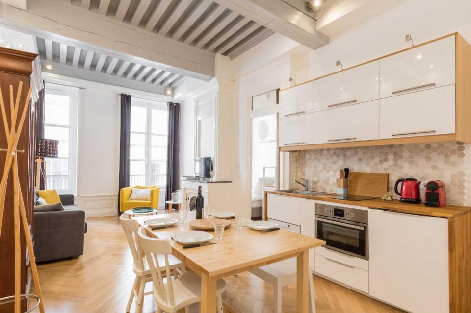 Bright apartment - 1BR- 4P- Downtown Apartment in Lyon
