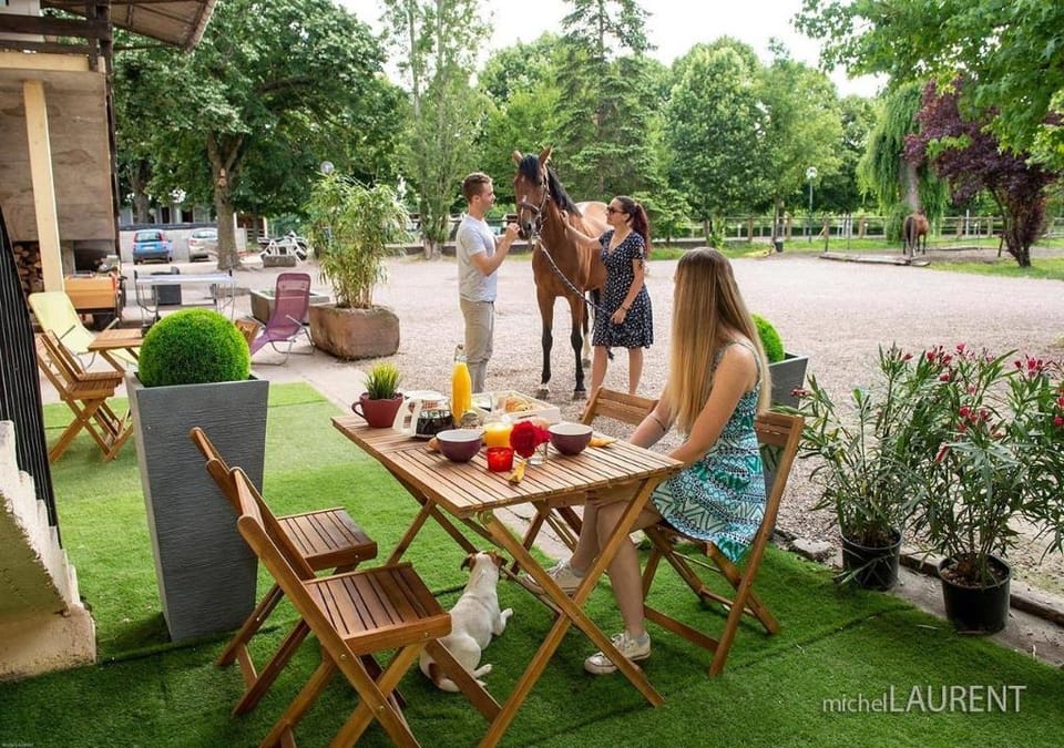 Chambre des bois Hotel in Grand Est