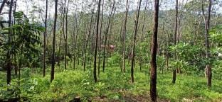 Sanduhan Villa Vacation rental in Western Province