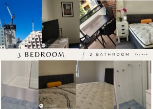  The Cozy Mac Apartment in Sydney
