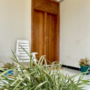 Kwale Residence Vacation rental in Tanzania