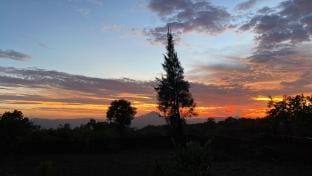Blooms and Berries Agro Tourism Farm Stay in Maharashtra