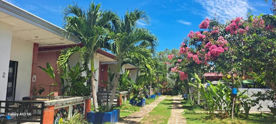Jeans Apartments and Solo rooms Hotel in Panglao