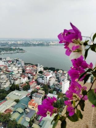 Luxury Econest  Apartment in Laos