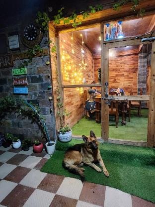 3 Room with mountain views & Apple orchard  Farm Vacation rental in Himachal Pradesh