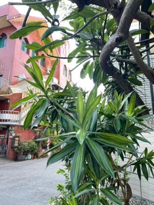 Aomori Travel - Double Room with Shared Bathroom3 Vacation rental in Kaohsiung