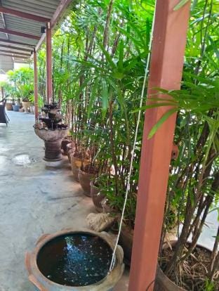 Candy Rooms Apartment in Pattaya City