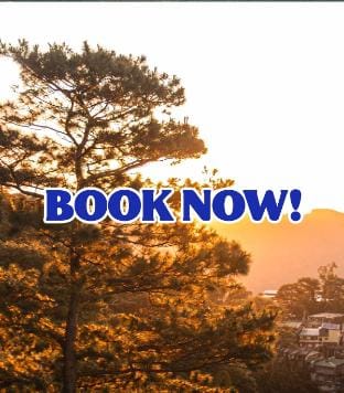 Baguio City’s 1st glamping site Vacation rental in Baguio