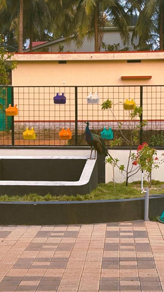 Barnes homestay Vacation rental in Karnataka