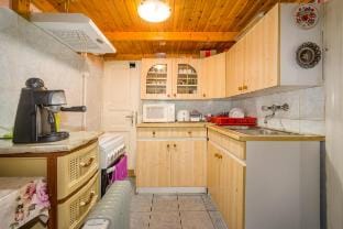 Budapest city center Vacation rental in Budapest