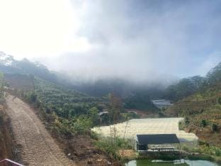 Homestay Ngỏ Nhỏ Vacation rental in Dalat
