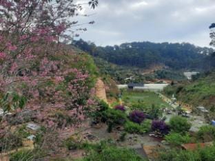 Homestay Ngỏ Nhỏ Vacation rental in Dalat