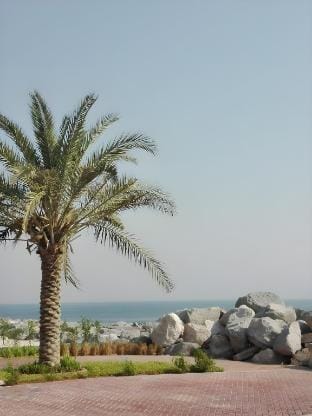 One bedroom with sea view, Pacific, Al Marjan Vacation rental in Ras al Khaimah