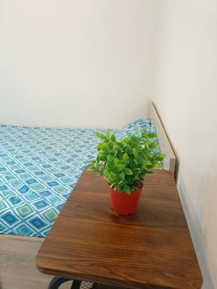 Your New Cozy Stay Near Dahilayan 1 Bedroom  Vacation rental in Northern Mindanao